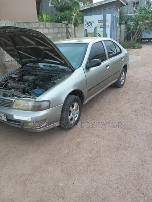 Nissan Sentra 1995 Silver