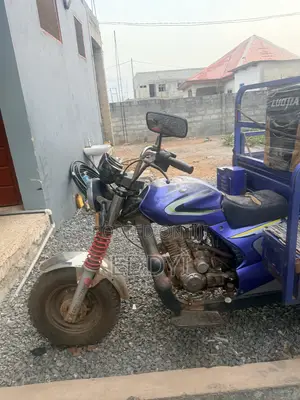 Luojia Motorized Tricycle 2024 Blue