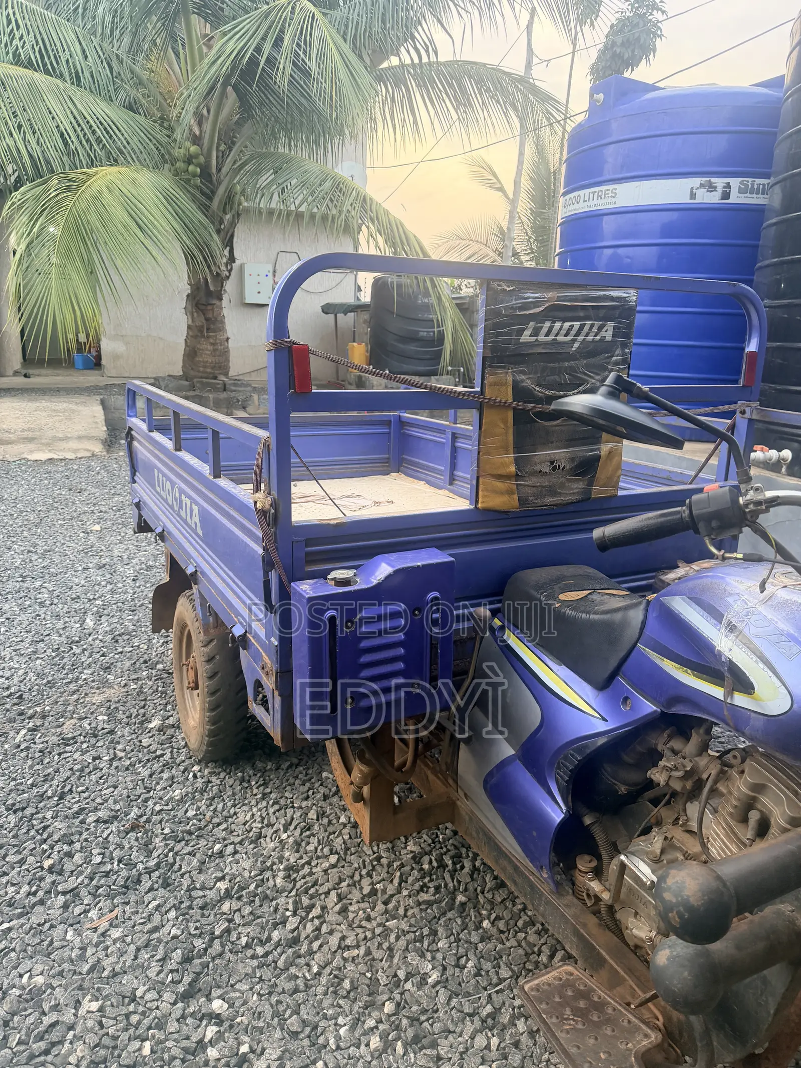 Luojia Motorized Tricycle 2024 Blue