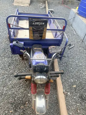 Luojia Motorized Tricycle 2024 Blue