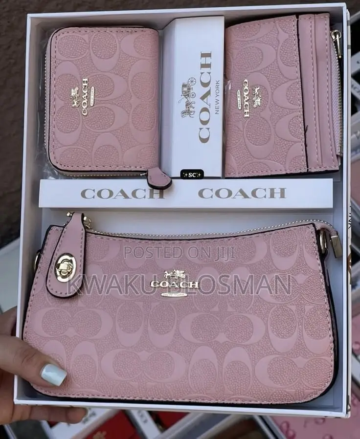 3 in 1 Set Coach Bags
