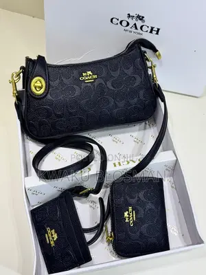 3 in 1 Set Coach Bags