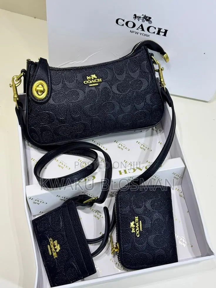 3 in 1 Set Coach Bags