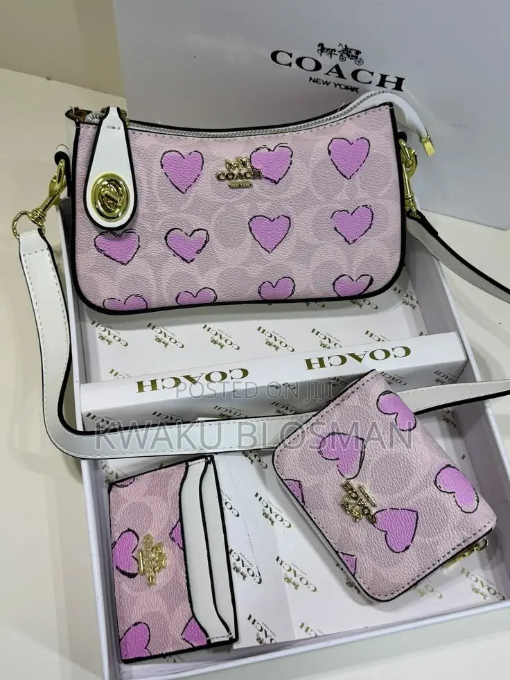 3 in 1 Set Coach Bags