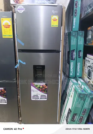 Roch 250Liter Double Door Refrigerator Top Freezer