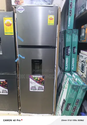 Roch 250Liter Double Door Refrigerator Top Freezer