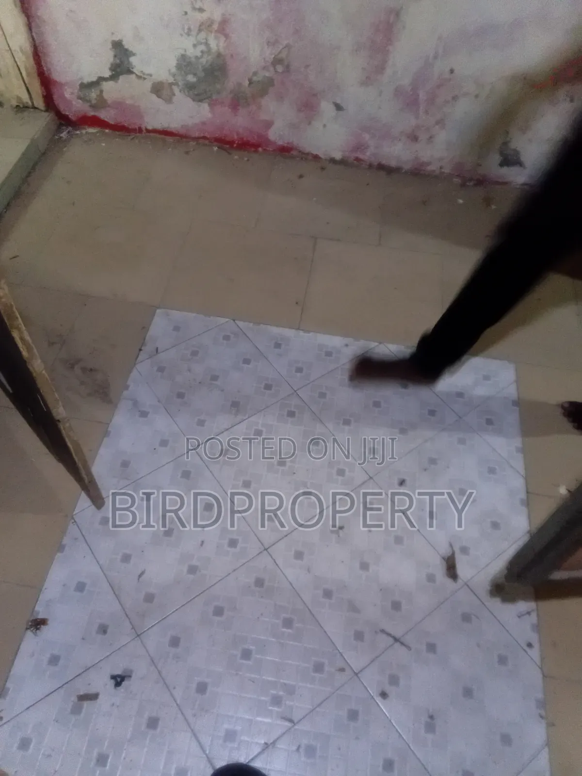 1bdrm House in Bird-Group, Baah Yard for rent