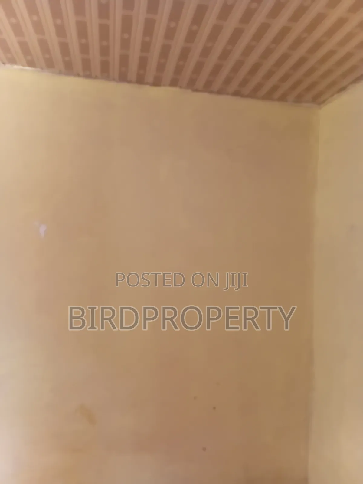 1bdrm House in Bird-Group, Baah Yard for rent