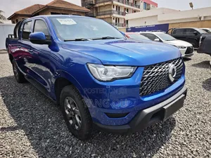 Great Wall Poer Premium 2022 Blue