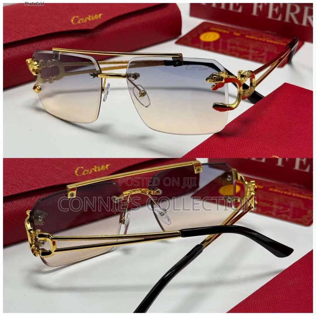 Premium Sunglasses (Swipe to See More)