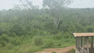 13 Acres Farmland-Ahafo Ano South