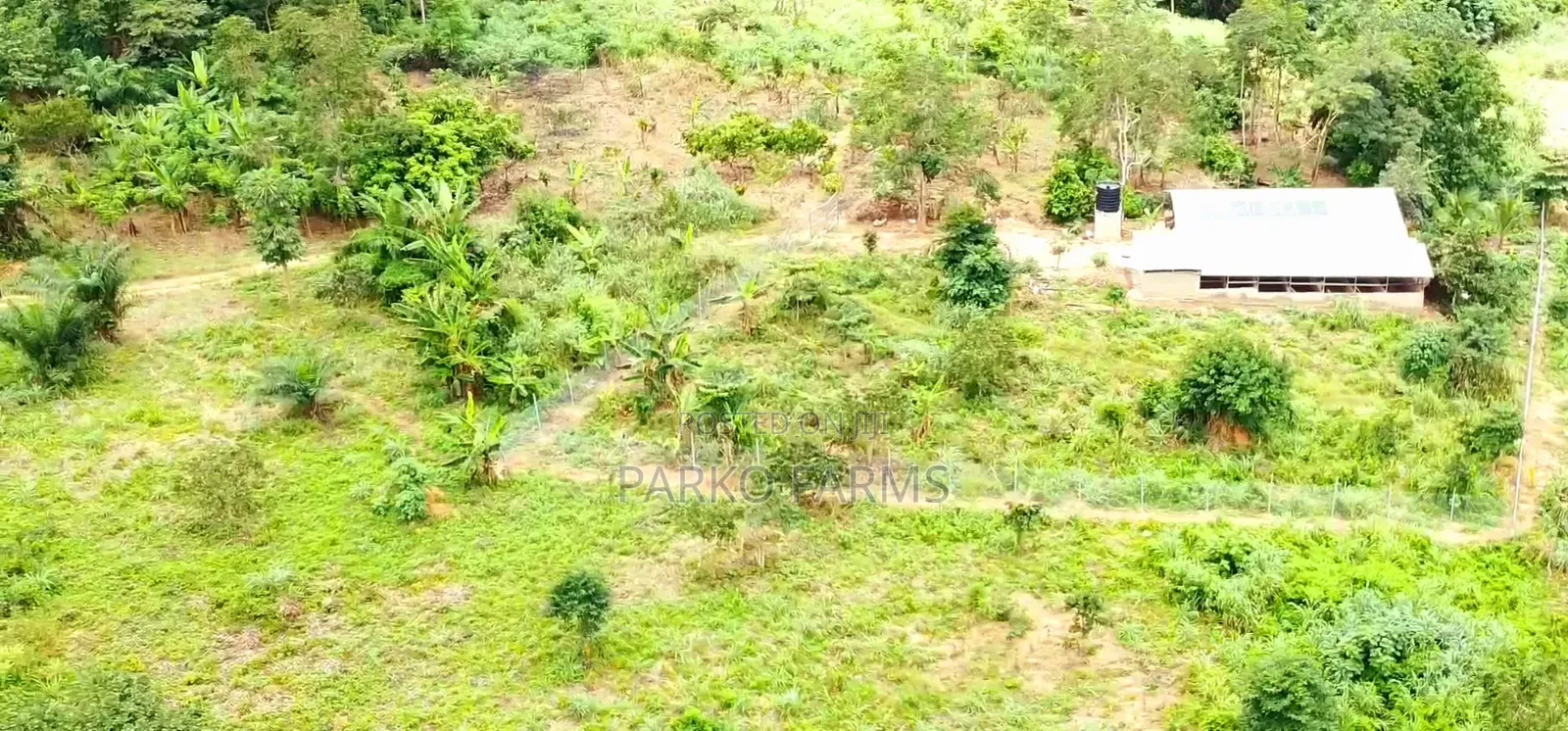 13 Acres Farmland-Ahafo Ano South