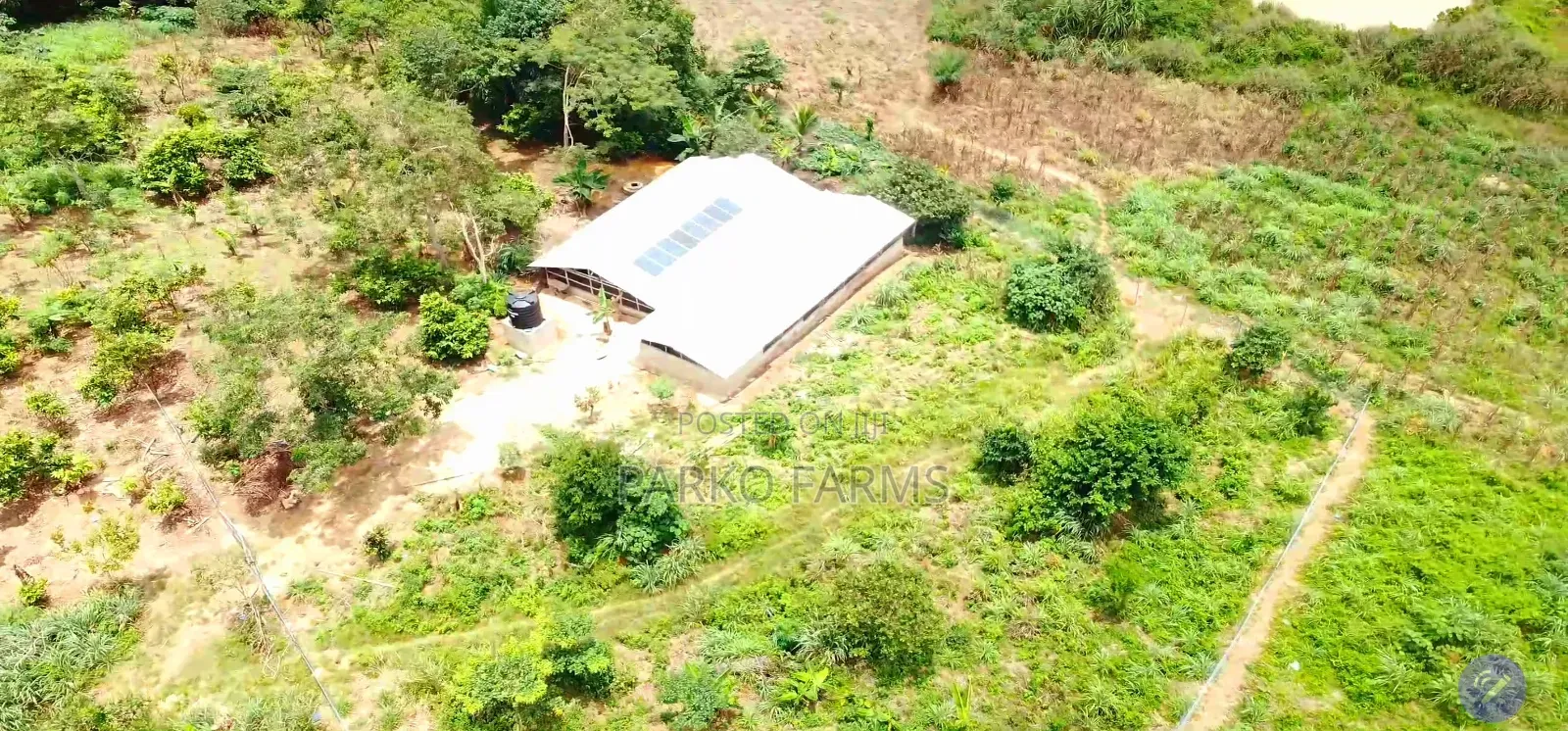 13 Acres Farmland-Ahafo Ano South