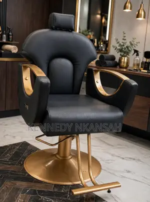 Barber/Salon Chair