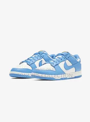 The Nike Dunk Low Retro