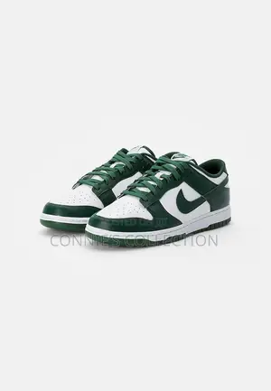 The Nike Dunk Low Retro