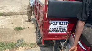 Luojia Cargo Tricycle 2025 Red
