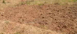 Title Land and Two Bed Room Storing Building Foundation