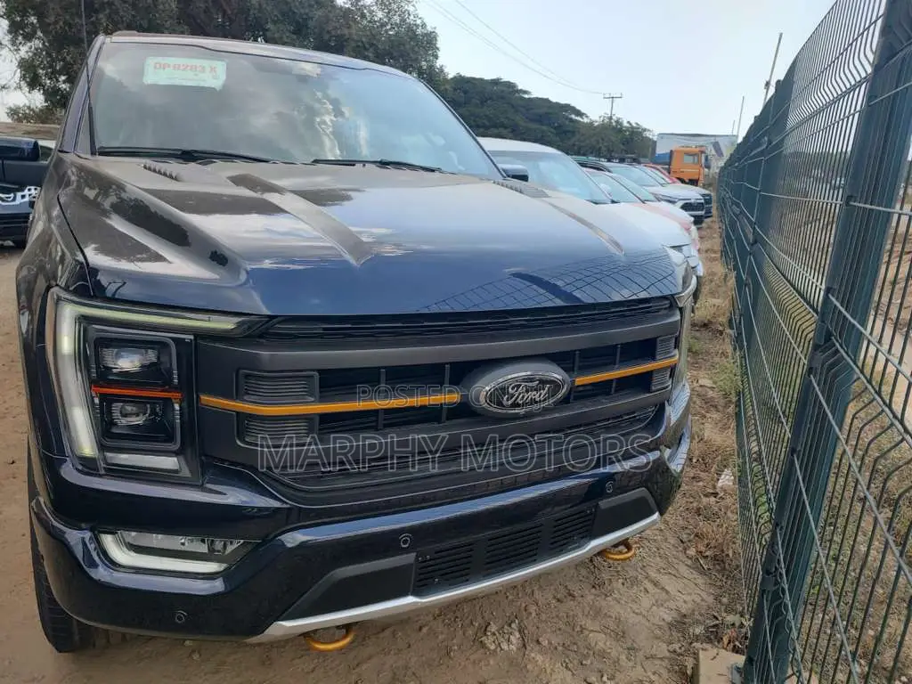 Ford F-150 Tremor 2022 Blue
