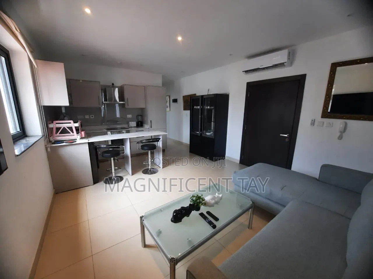 Furnished 1bdrm Apartment in Magnificent, Coffee Shop Area for rent