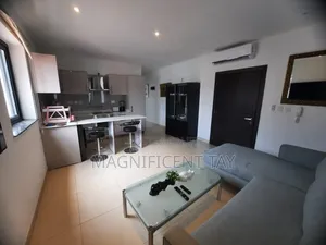 Furnished 1bdrm Apartment in Magnificent, Coffee Shop Area for rent