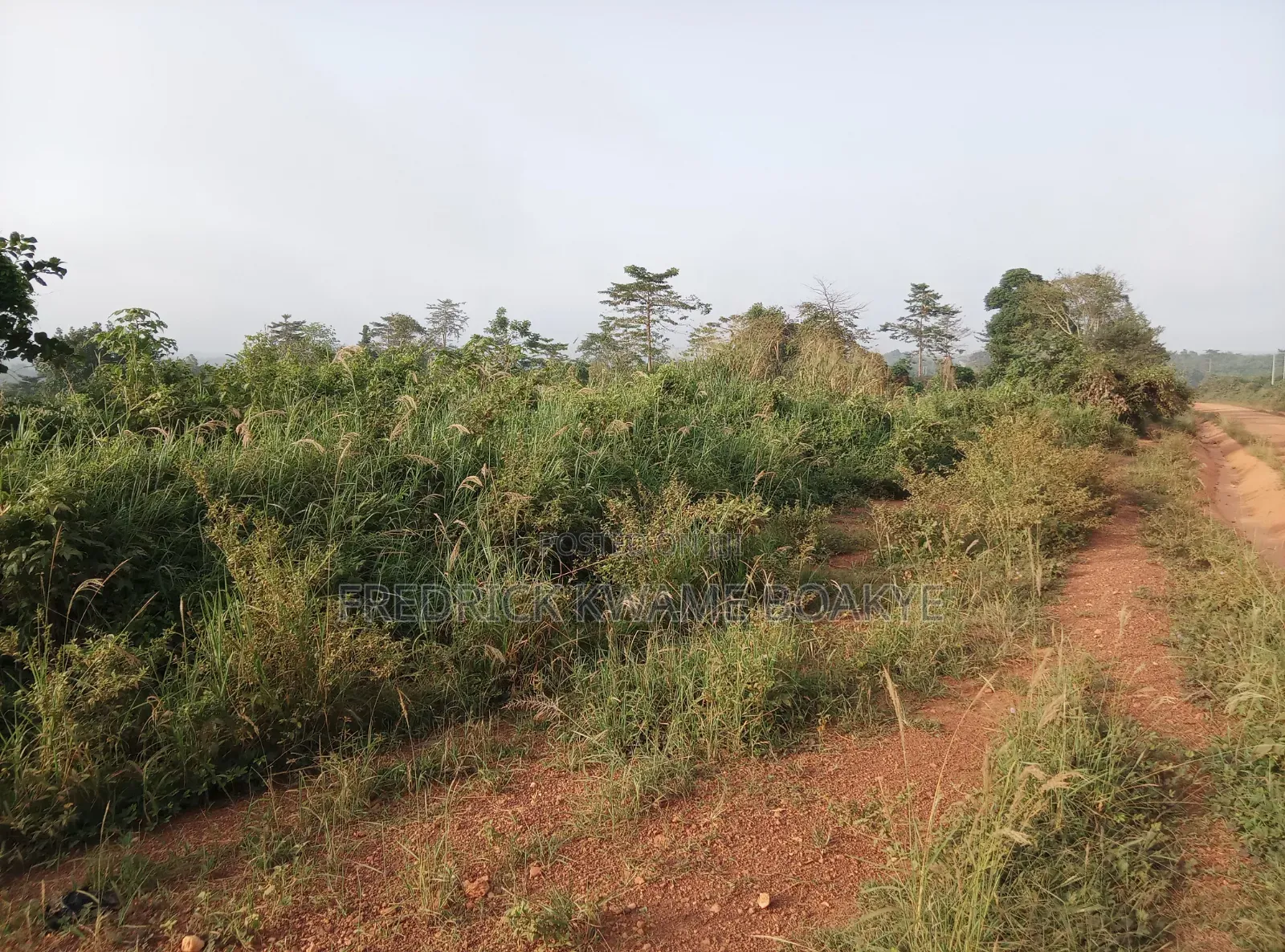 5 Plots of Land for Sale at Dwenewoho Mankranso Rd