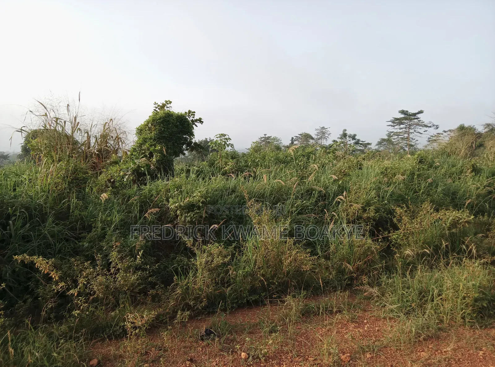 5 Plots of Land for Sale at Dwenewoho Mankranso Rd