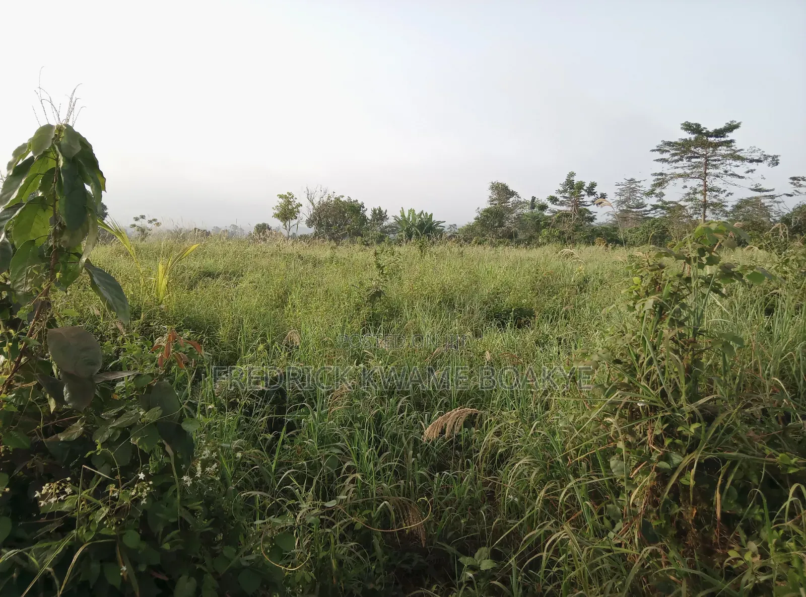 5 Plots of Land for Sale at Dwenewoho Mankranso Rd