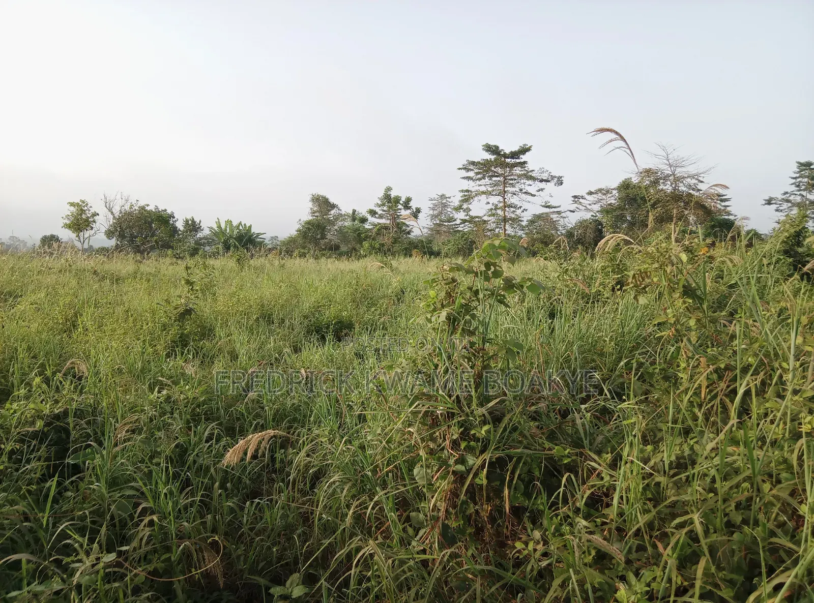 5 Plots of Land for Sale at Dwenewoho Mankranso Rd