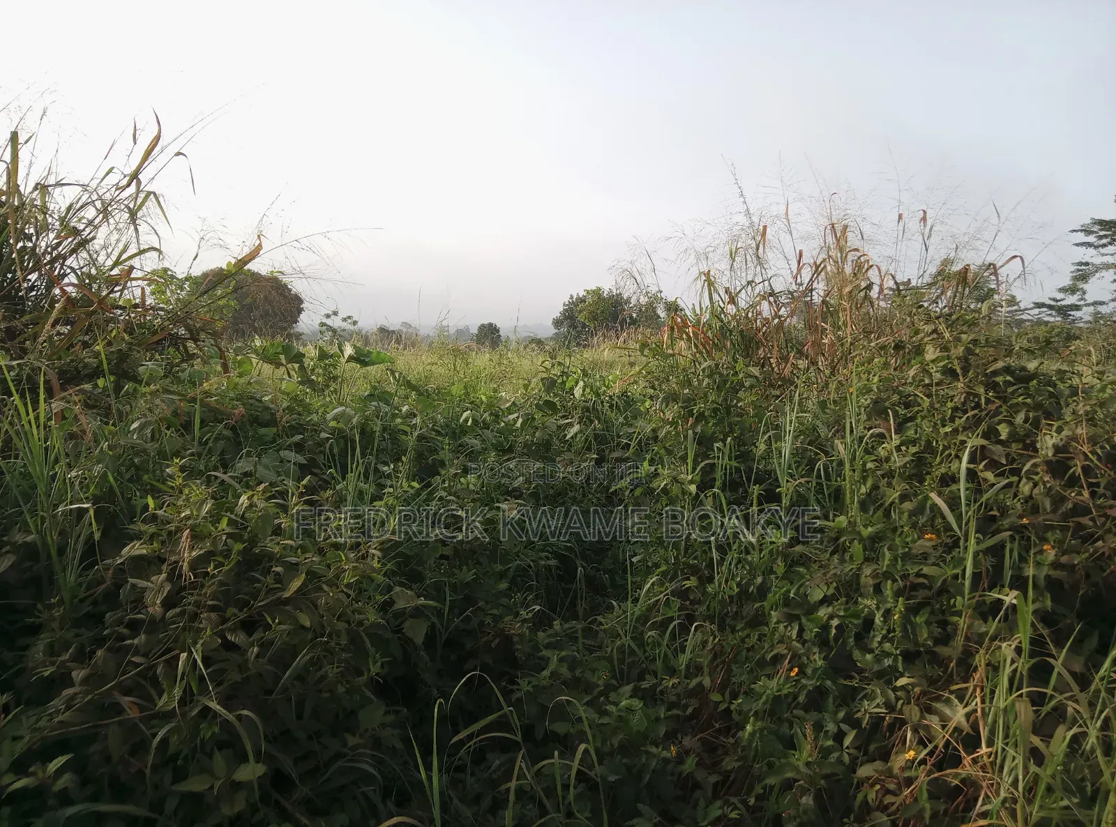 5 Plots of Land for Sale at Dwenewoho Mankranso Rd