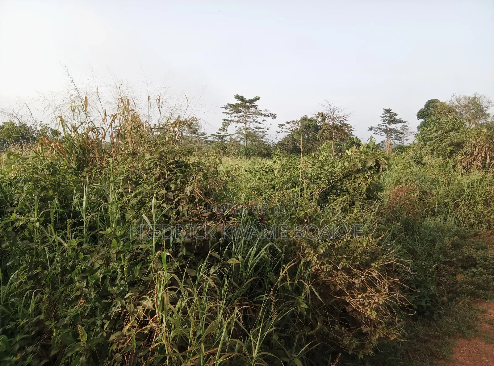 5 Plots of Land for Sale at Dwenewoho Mankranso Rd