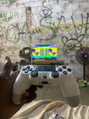 PPlayStation 4 Neat