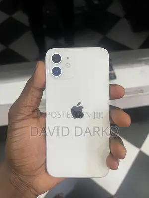 Apple iPhone 12 128 GB Gray