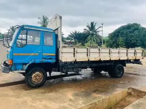 Hyundai Truck 1995 Blue