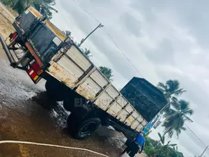 Hyundai Truck 1995 Blue