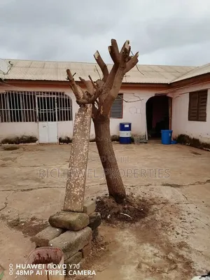 1bdrm Room & Parlour in Richjewel Properties, Tamale Municipal for rent