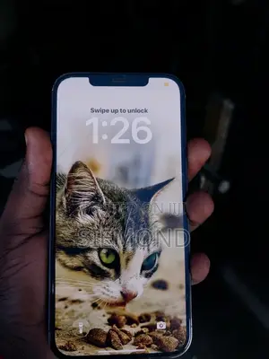 Apple iPhone 12 Pro Max 128 GB Graphite