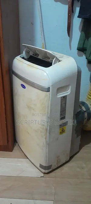 Carrier Portable Air Conditioner