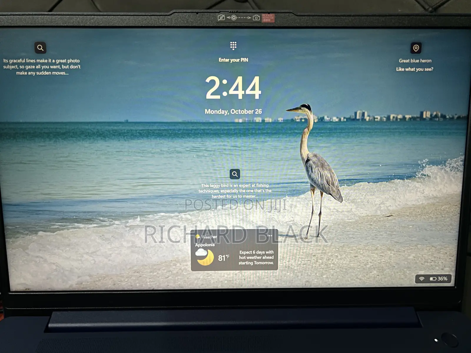 New Laptop Lenovo Ideapad 3 8GB AMD Ryzen 5 SSD 256GB