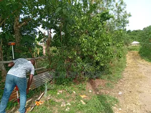 1 Plot of Land for Sale at Adawso