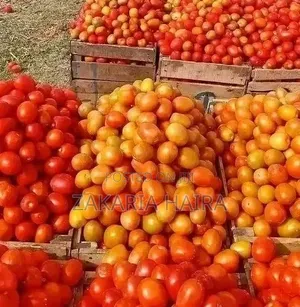 Good Food Available