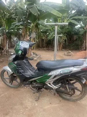 Apsonic AP110 2023 Green