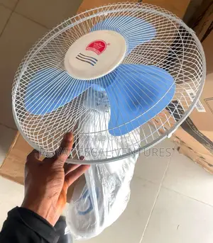 Changli Crown 16" Wall Fan