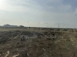 Lands & Plots