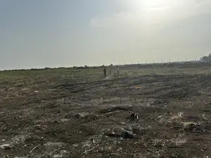 Lands & Plots