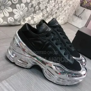 Adidas X Raf Simons Ozweego Mirrored in Black / Silver Metallic
