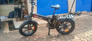 Victrip Electric Bike