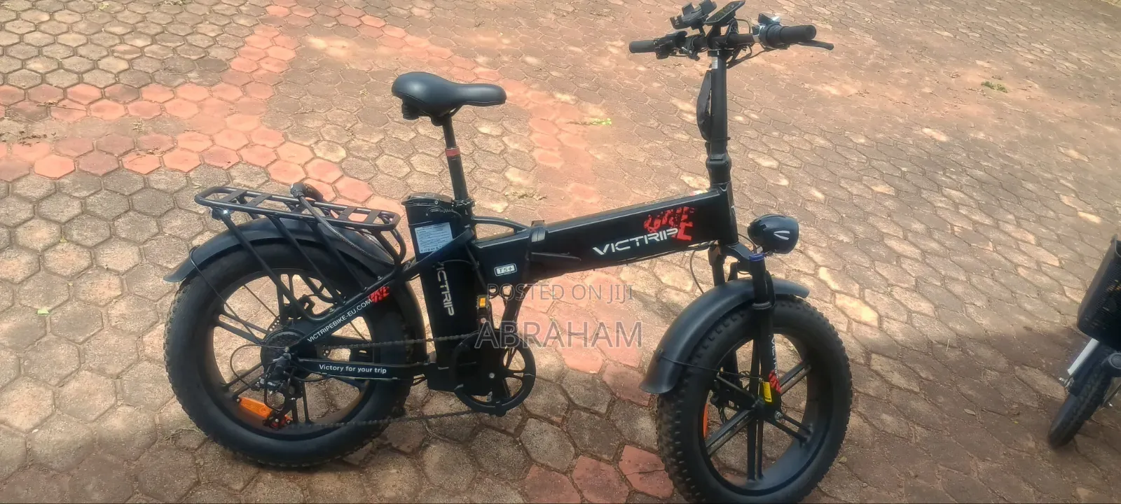 Victrip Electric Bike