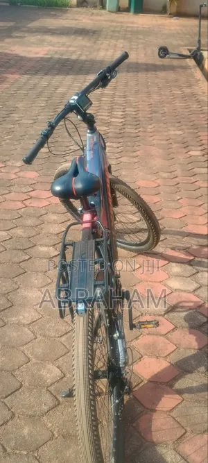 Electric Bike