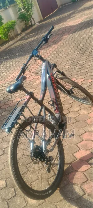Electric Bike